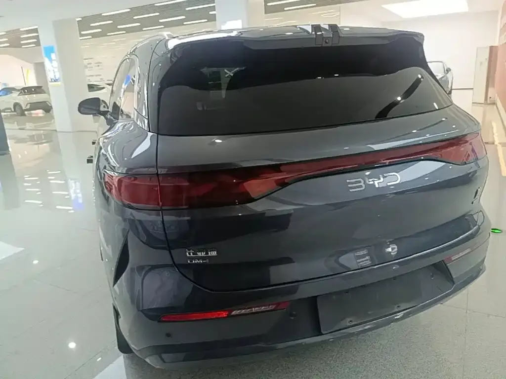 BYD Tang L — фото 2