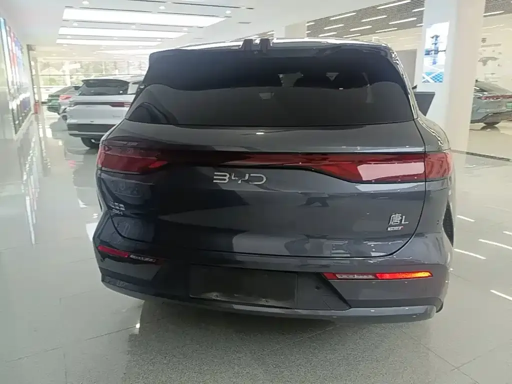 BYD Tang L — фото 3