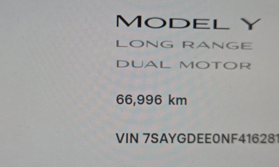Tesla Model Y — фото 8