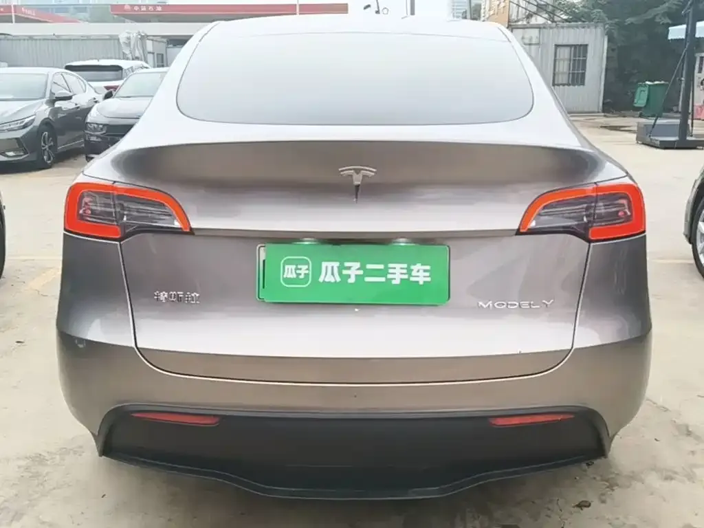 Tesla Model Y — фото 9