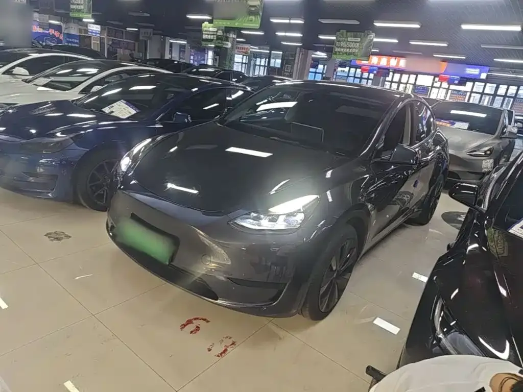 Tesla Model Y — фото 1