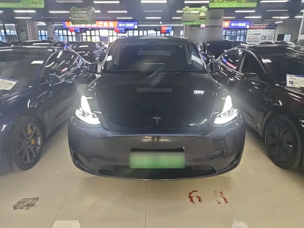 Tesla Model Y — фото 5