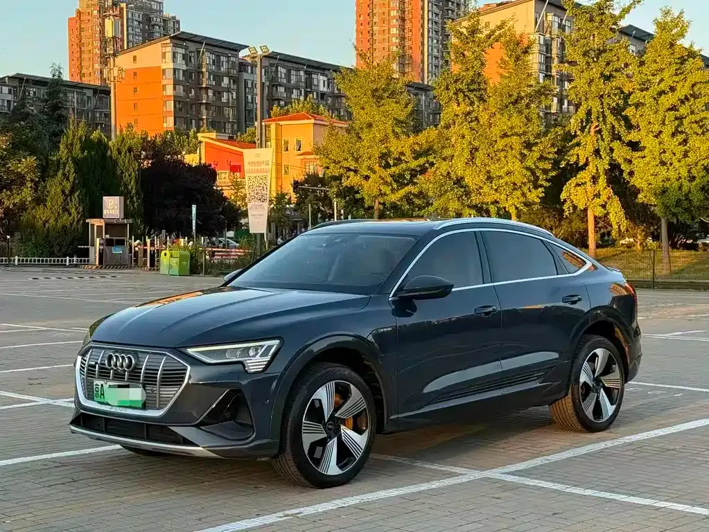 Audi e-tron (Import) — фото 1