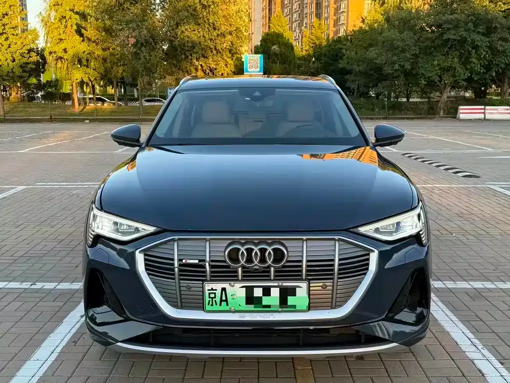 Audi e-tron (Import) — фото 6