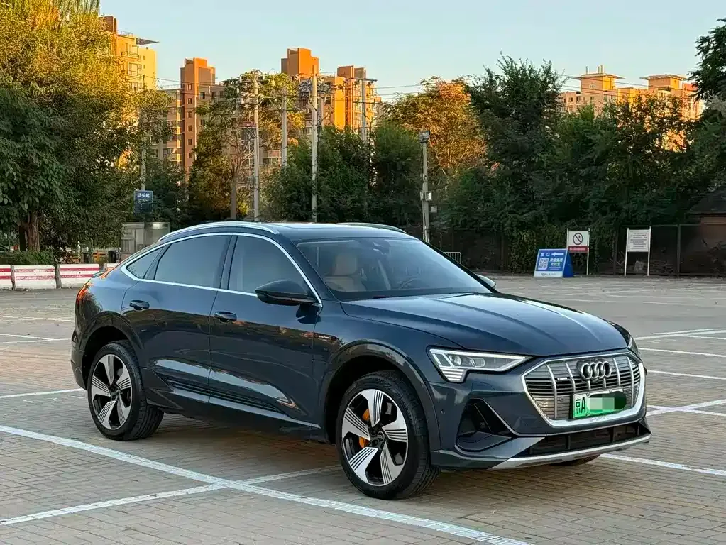 Audi e-tron (Import) — фото 10