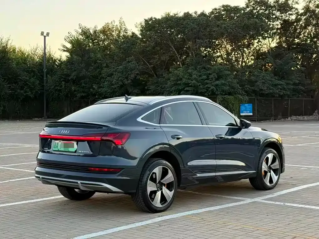 Audi e-tron (Import) — фото 8