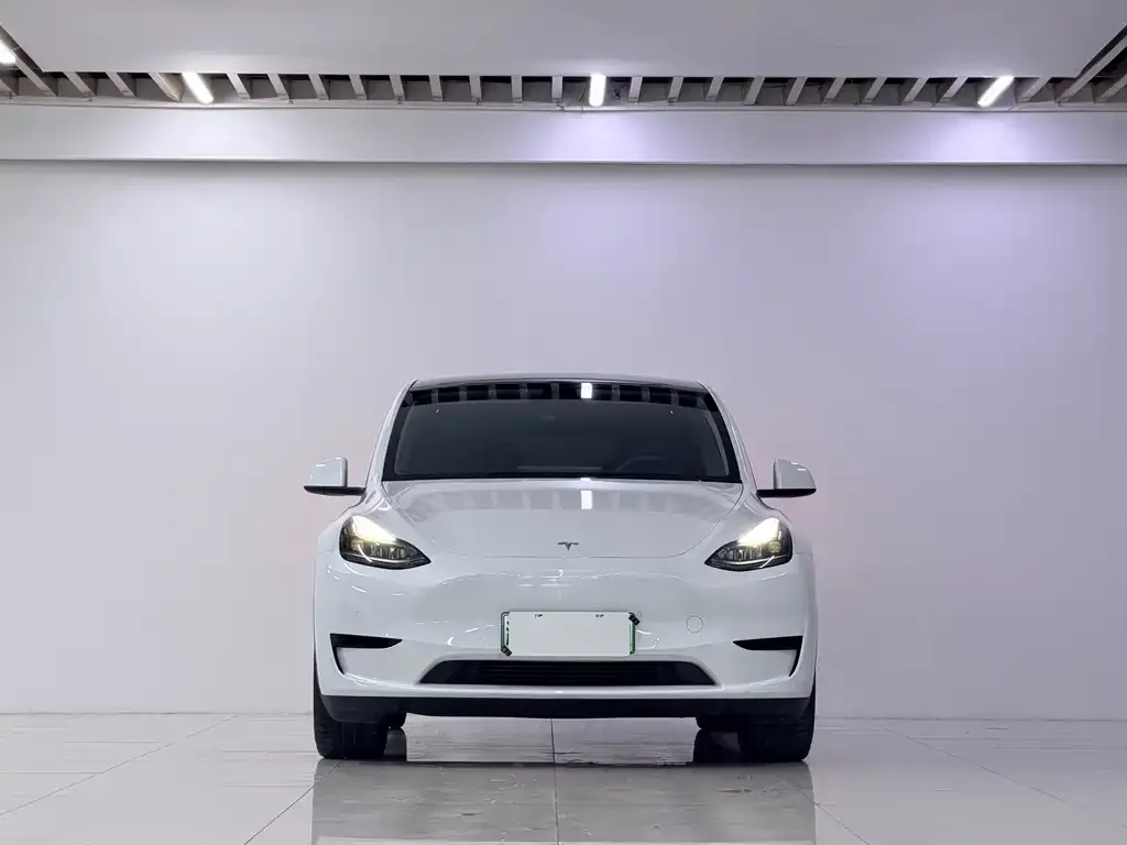 Tesla Model Y — фото 8
