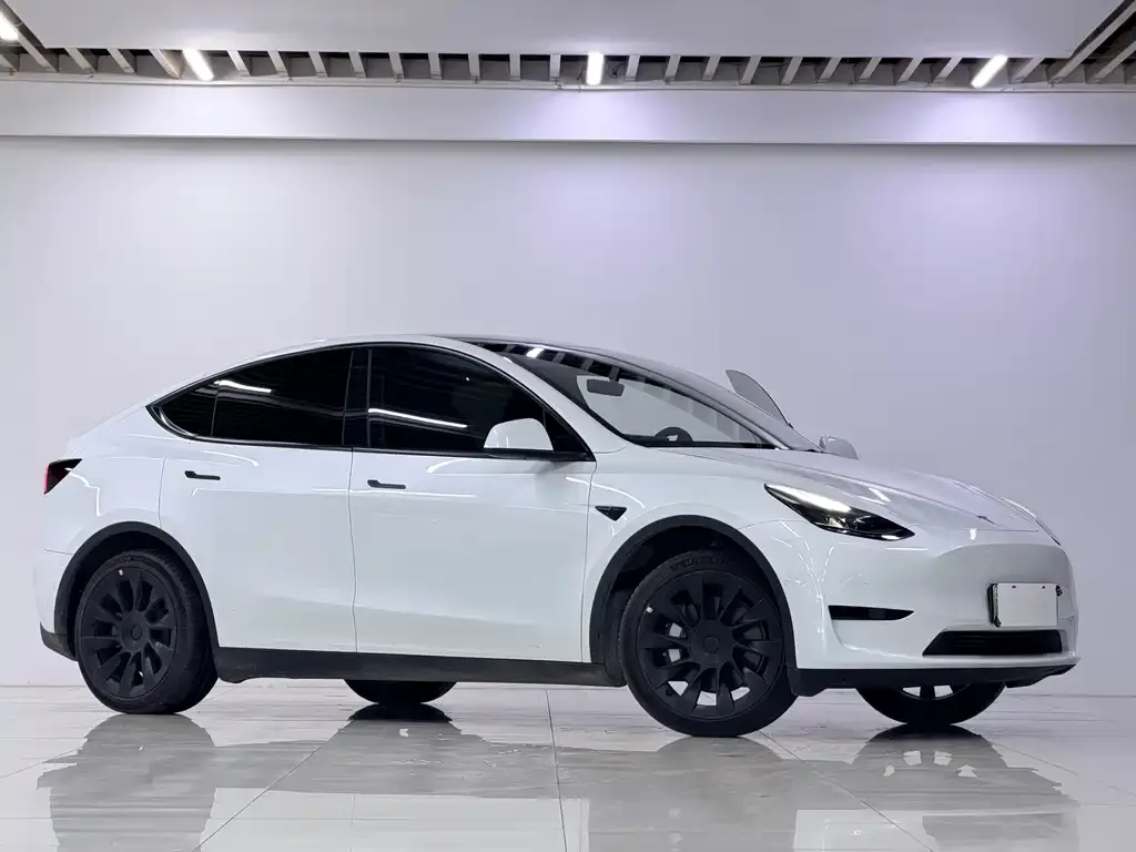 Tesla Model Y — фото 7