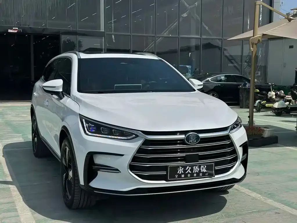 BYD Tang New Energy — фото 5
