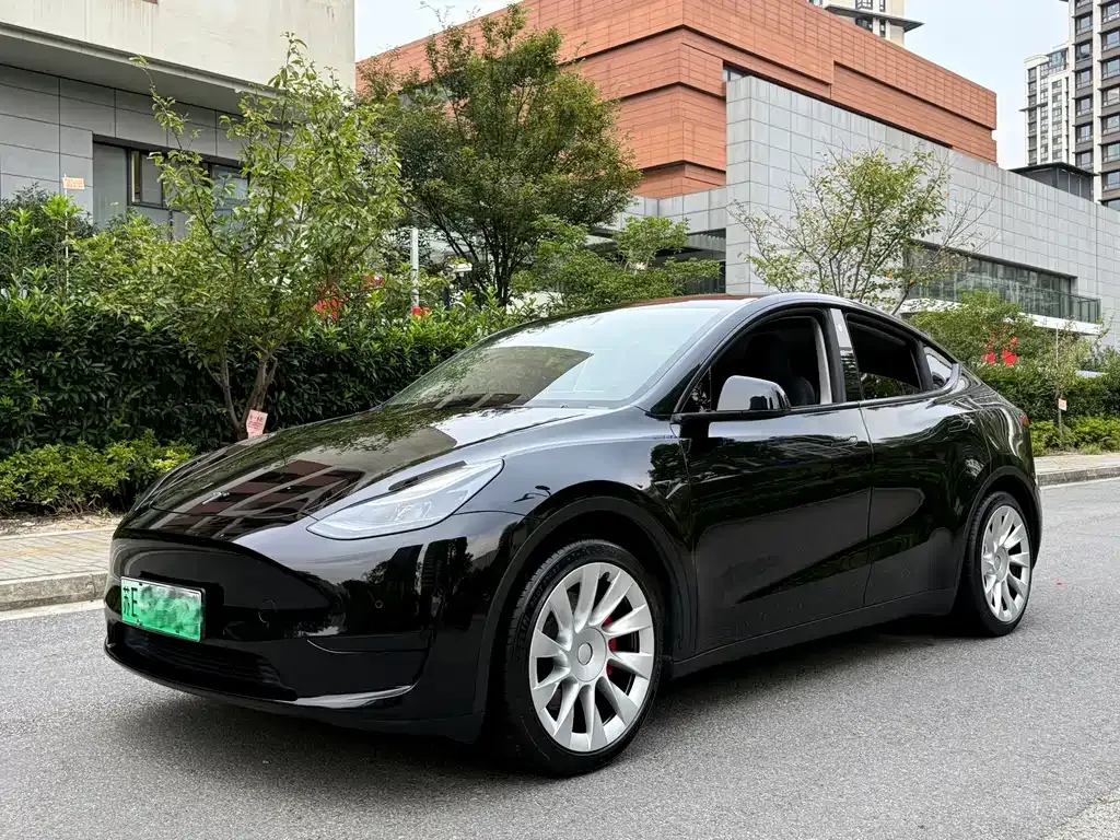 Tesla Model Y — фото 1