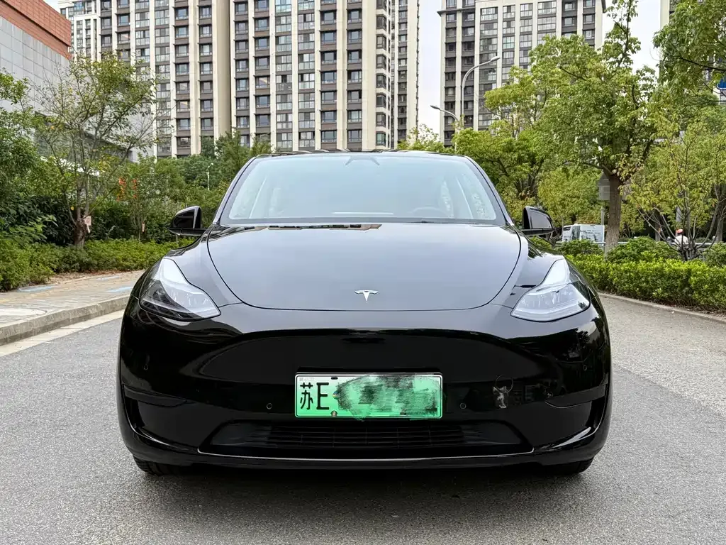 Tesla Model Y — фото 9
