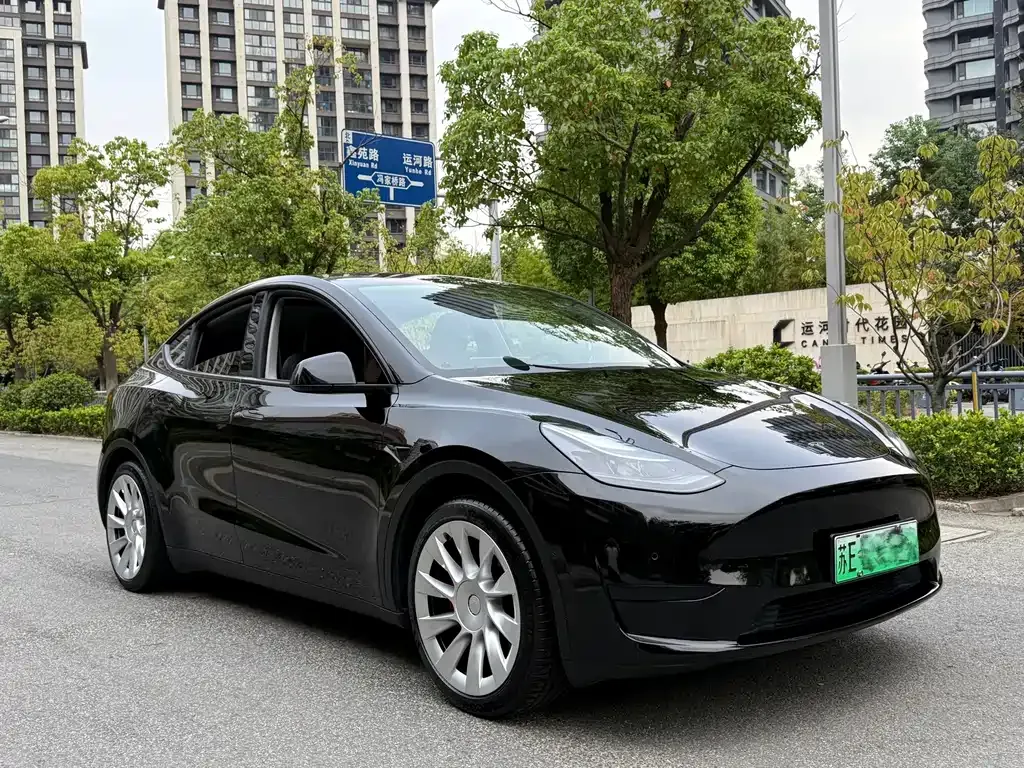 Tesla Model Y — фото 10