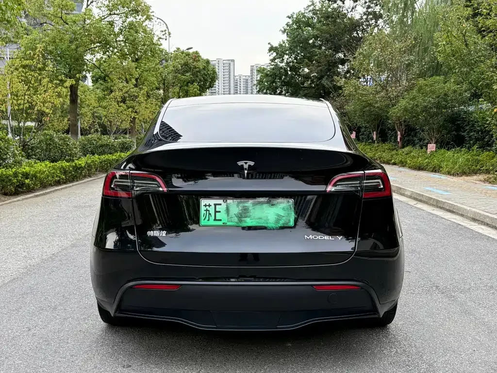 Tesla Model Y — фото 5