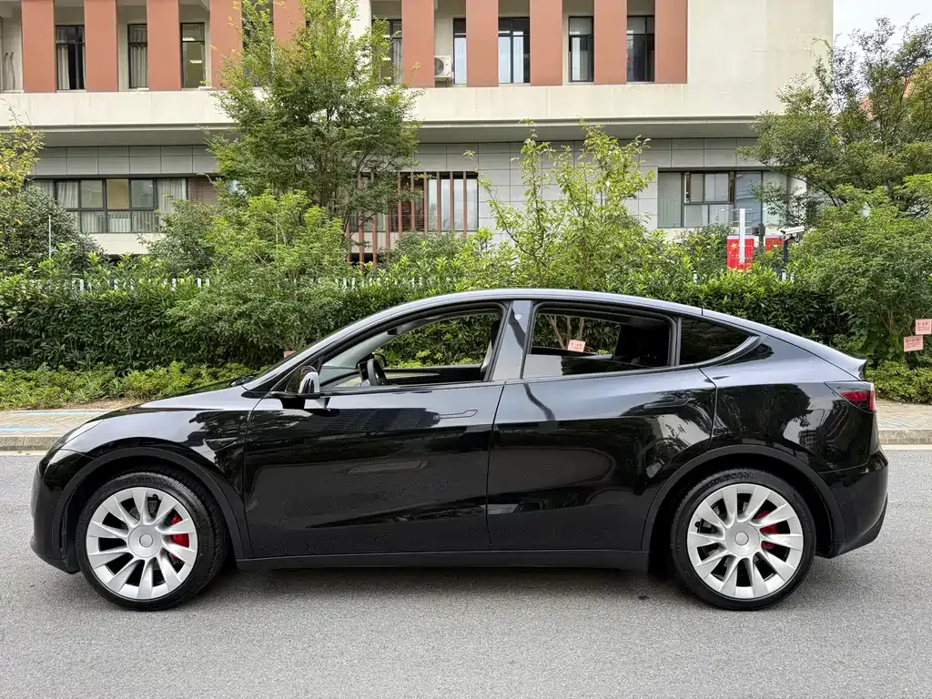 Tesla Model Y — фото 2