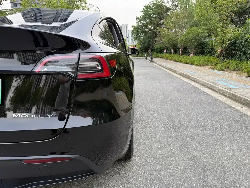 Tesla Model Y — фото 3