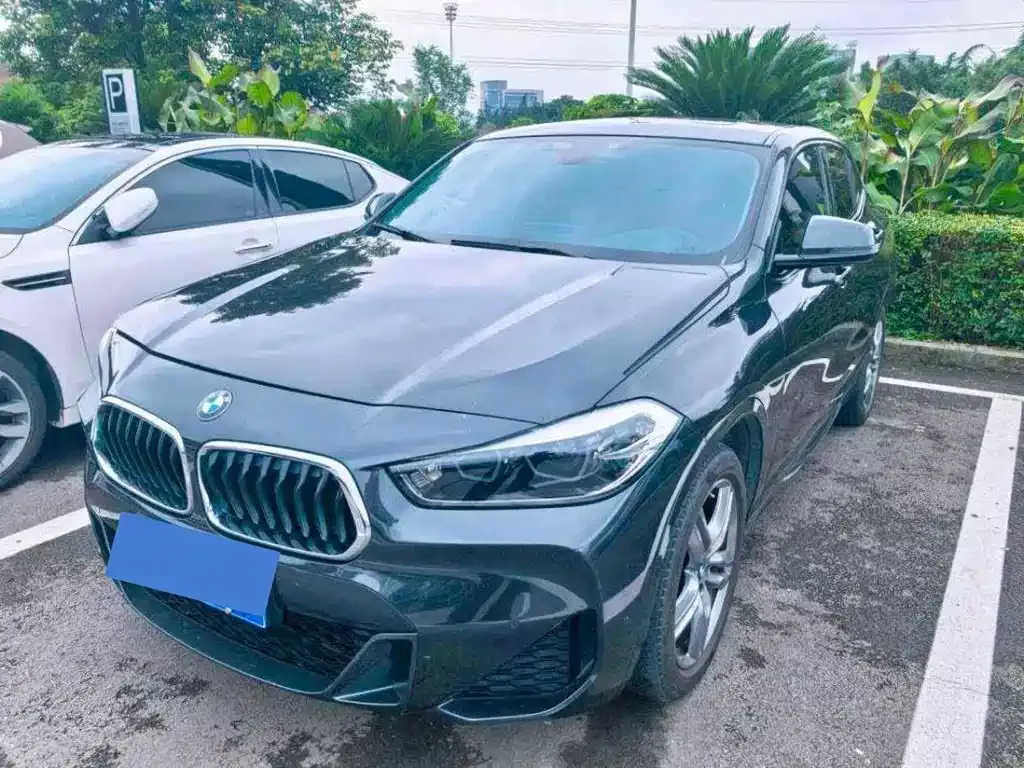 BMW X2 — фото 1