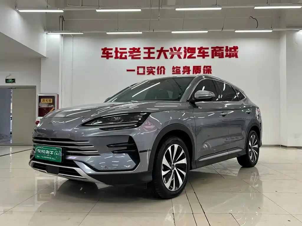 BYD PLUS New Energy — фото 1