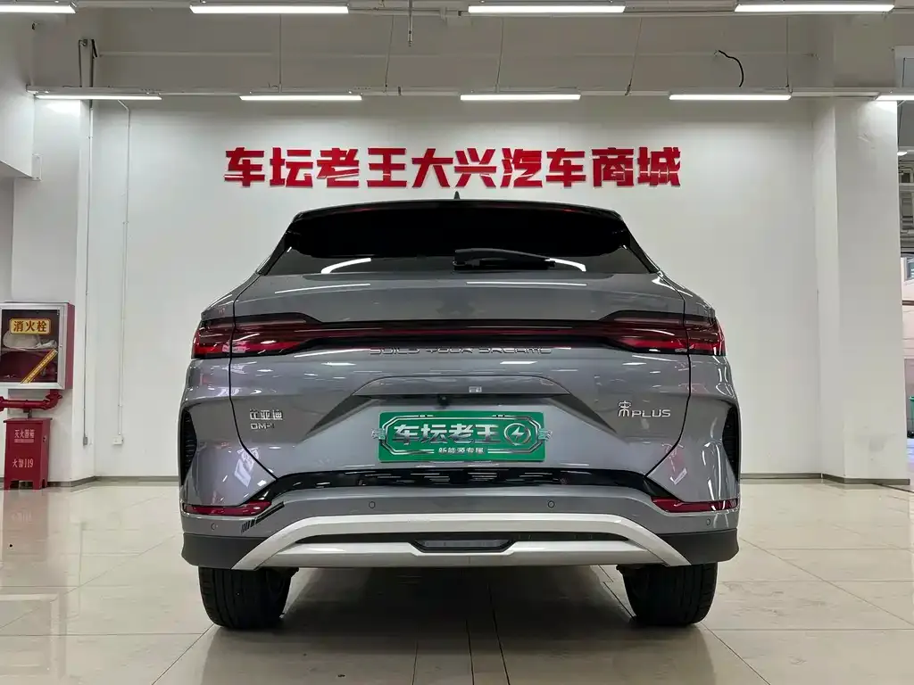 BYD PLUS New Energy — фото 3