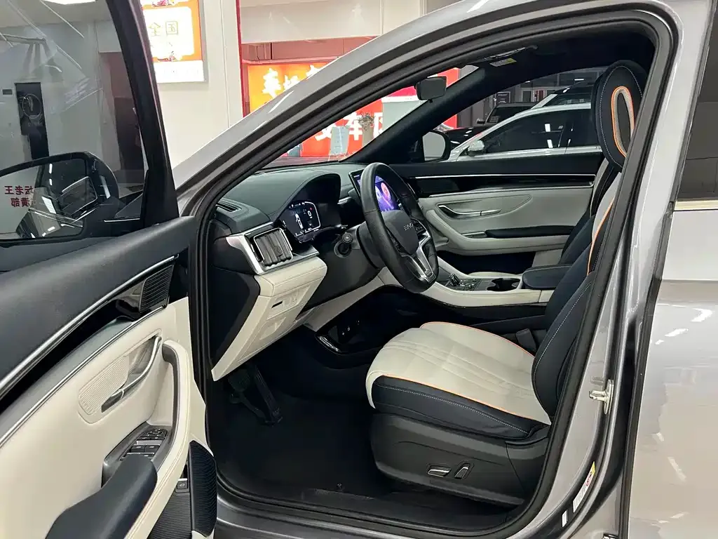 BYD PLUS New Energy — фото 2