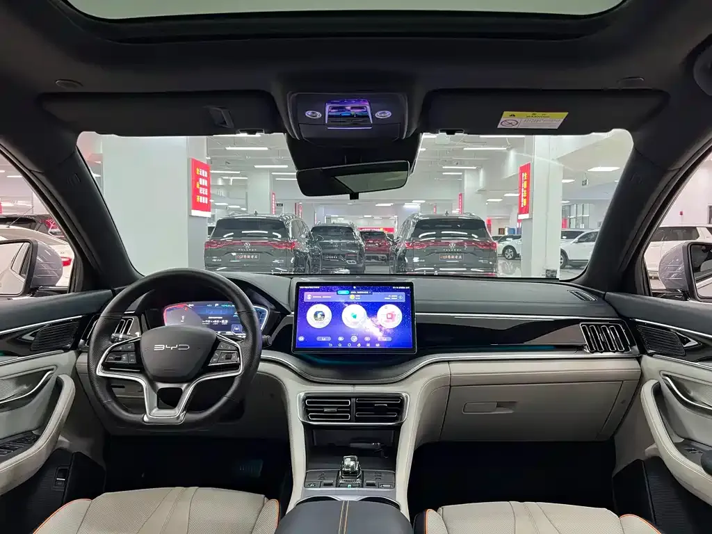 BYD PLUS New Energy — фото 7