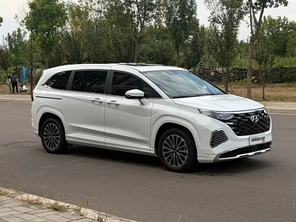 Hyundai Custo — фото 5