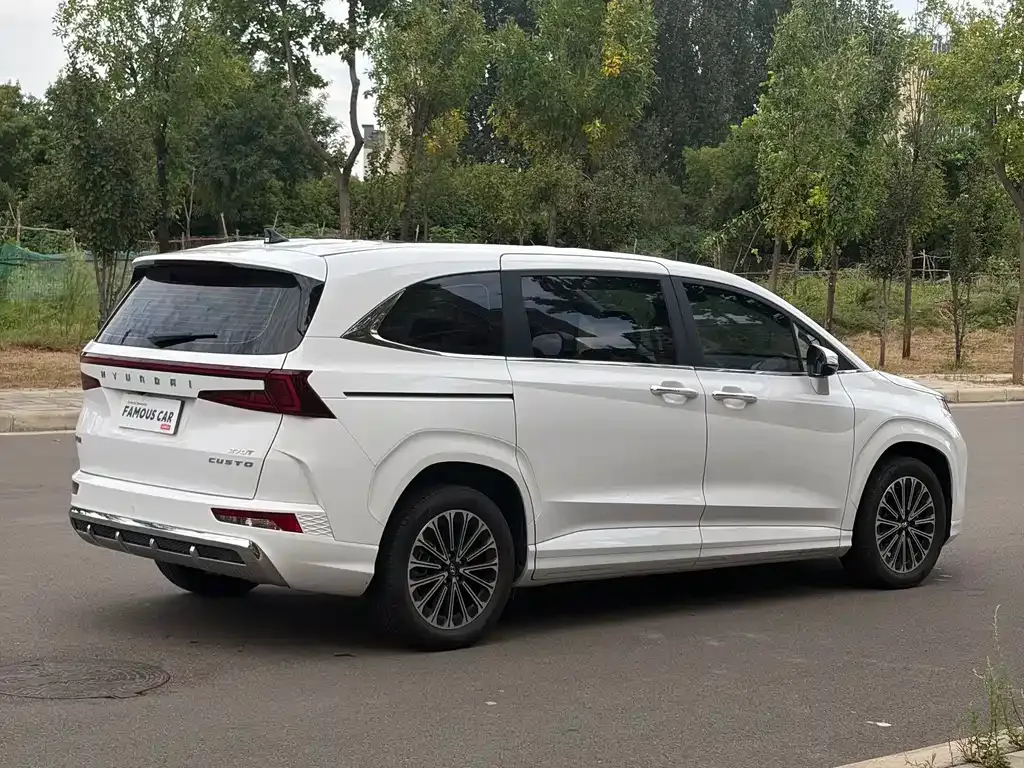 Hyundai Custo — фото 7