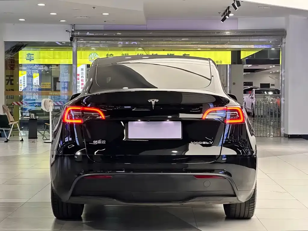 Tesla Model Y — фото 5