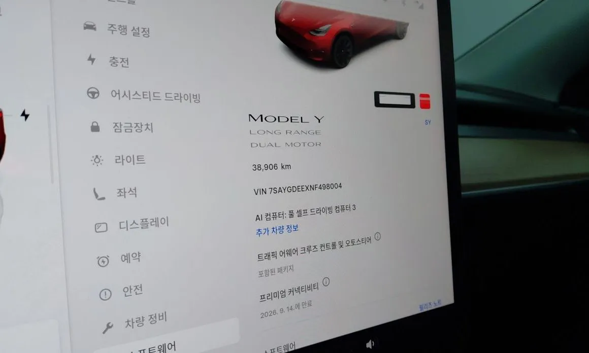 Tesla Model Y — фото 3