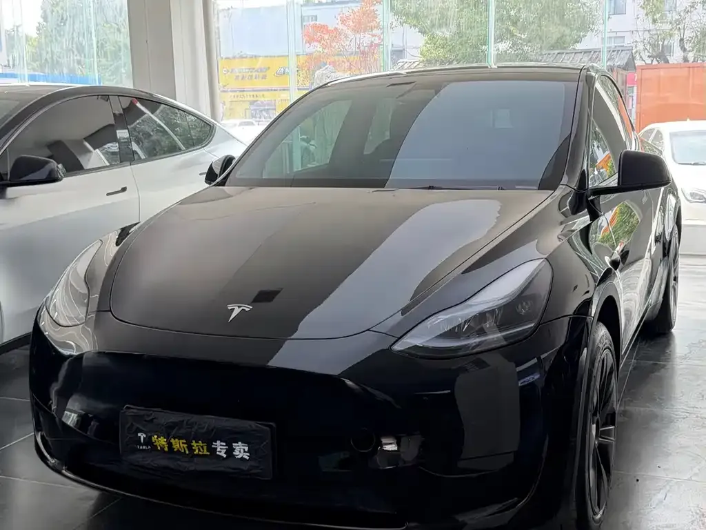 Tesla Model Y — фото 1