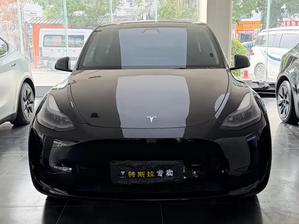Tesla Model Y — фото 8