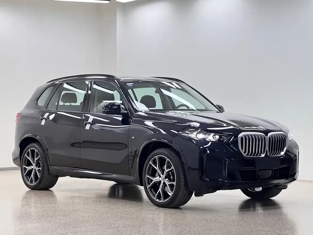 BMW X5 — фото 8