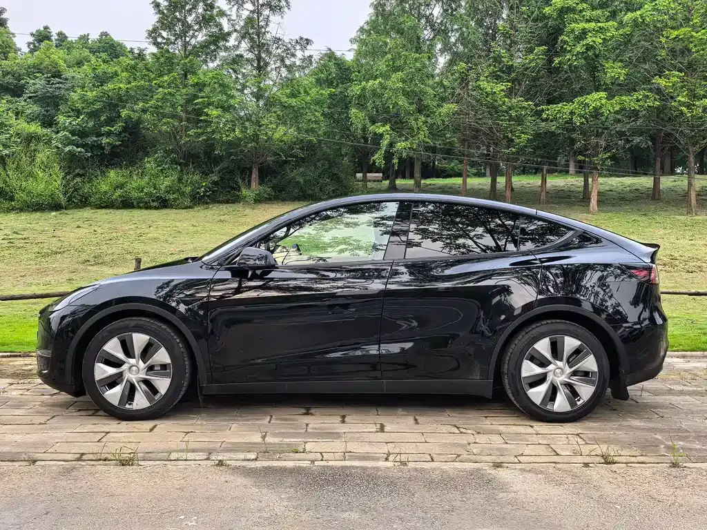 Tesla Model Y — фото 6