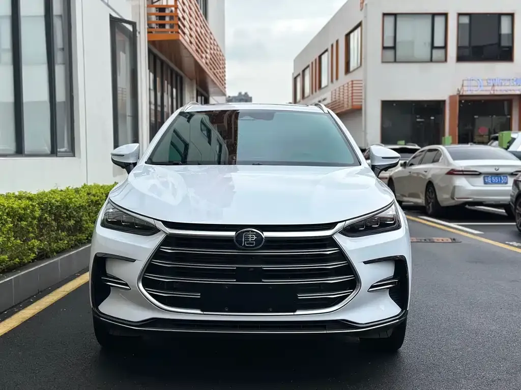 BYD Tang New Energy — фото 10