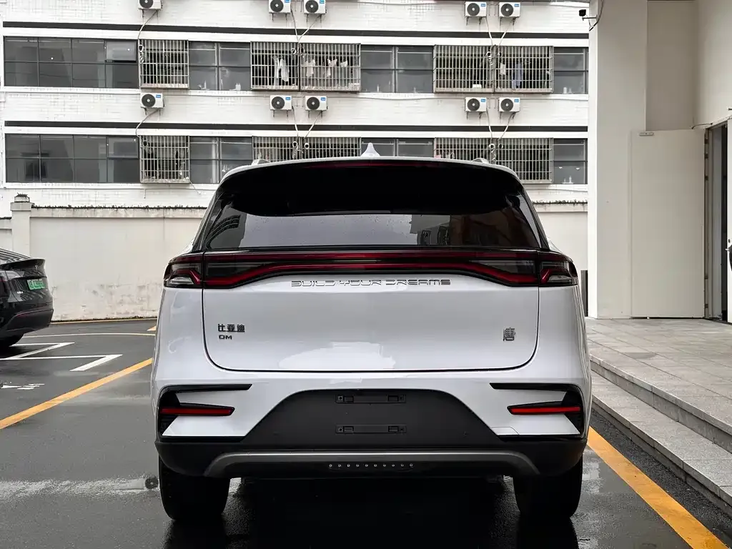 BYD Tang New Energy — фото 2