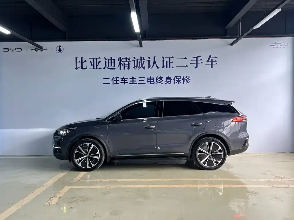 BYD Tang New Energy — фото 9
