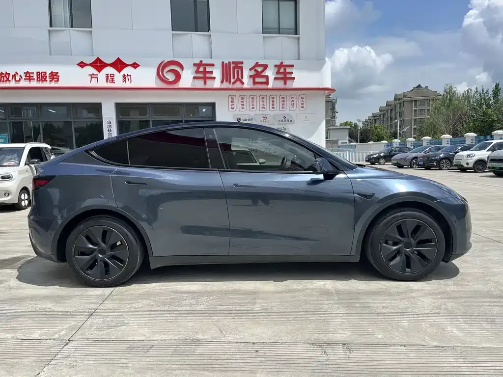 Tesla Model Y — фото 10