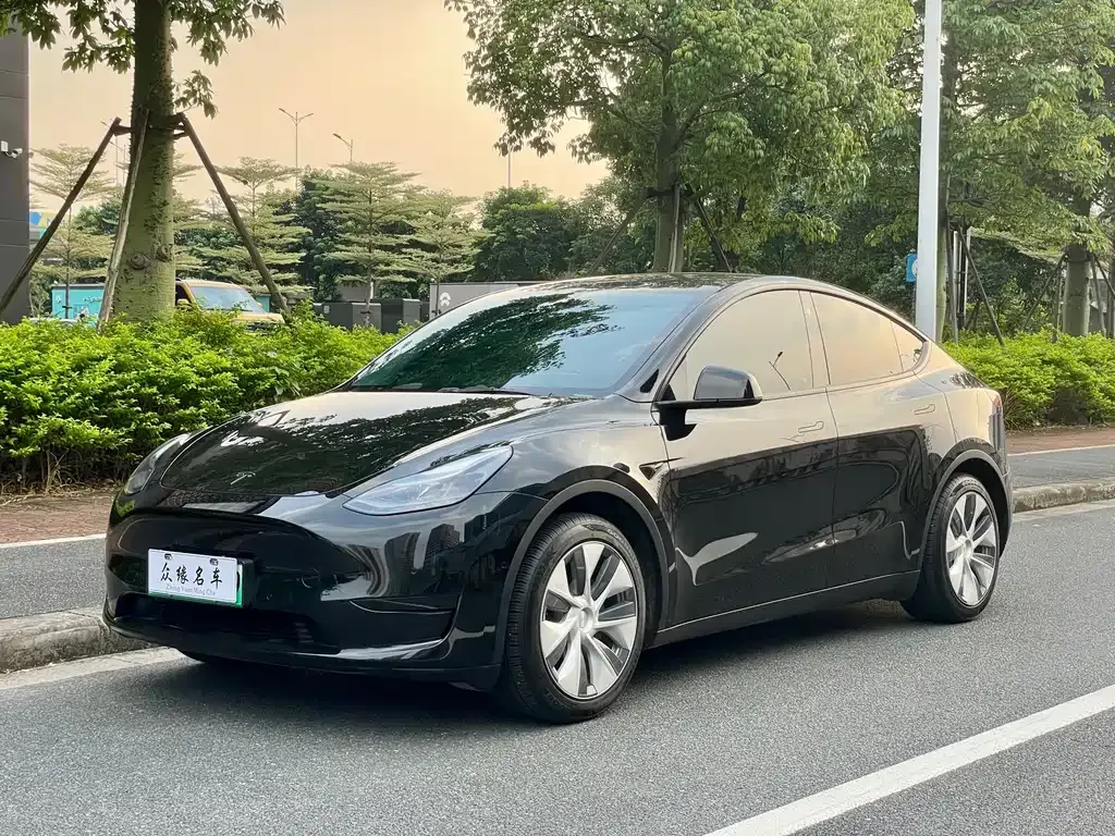 Tesla Model Y — фото 1