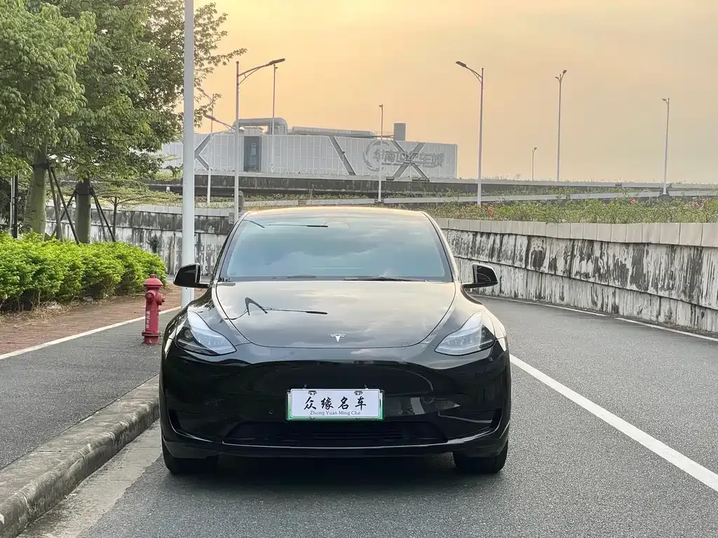 Tesla Model Y — фото 4