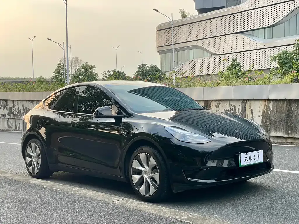 Tesla Model Y — фото 9