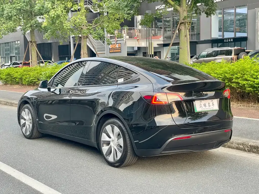 Tesla Model Y — фото 10
