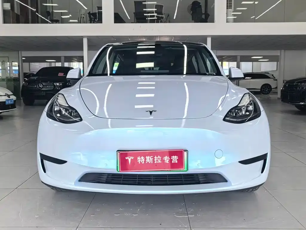 Tesla Model Y — фото 10