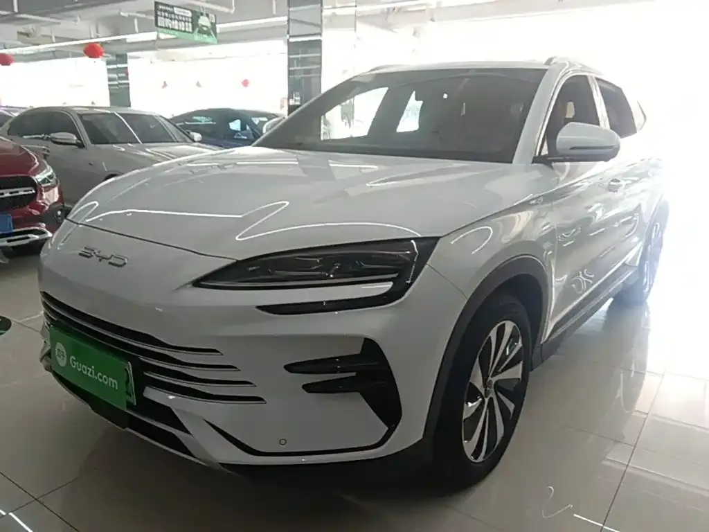 BYD PLUS New Energy — фото 8