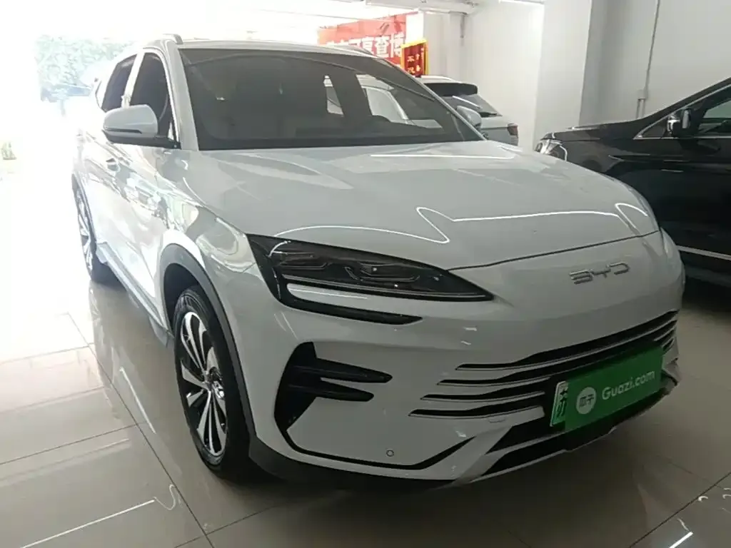 BYD PLUS New Energy — фото 4