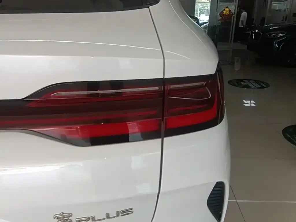 BYD PLUS New Energy — фото 3