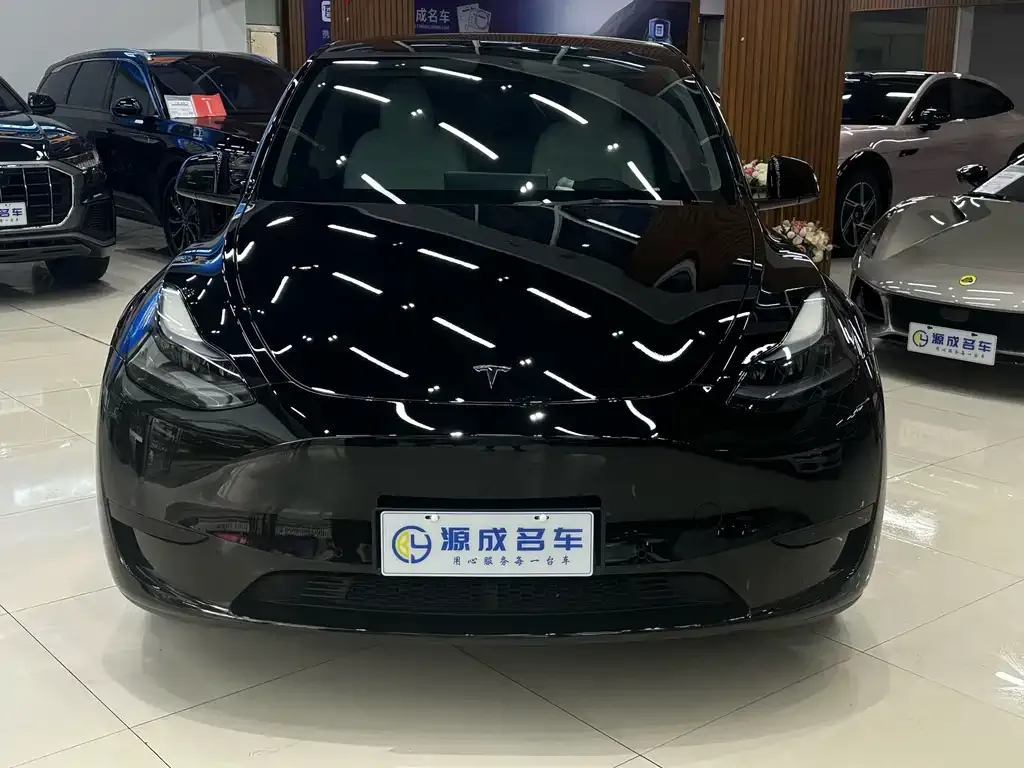 Tesla Model Y — фото 3