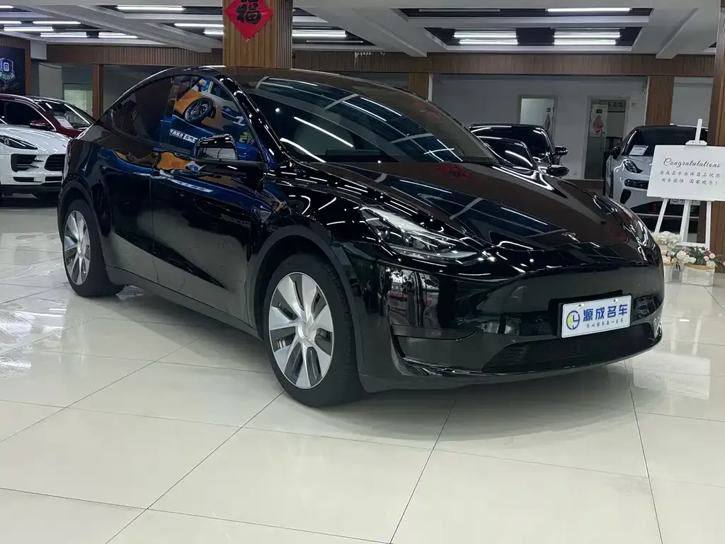 Tesla Model Y — фото 5