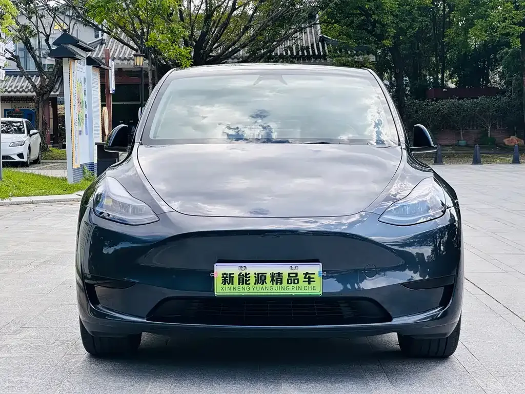Tesla Model Y — фото 8