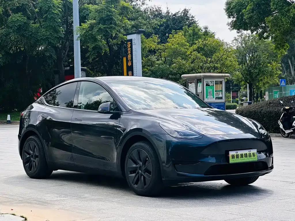 Tesla Model Y — фото 9