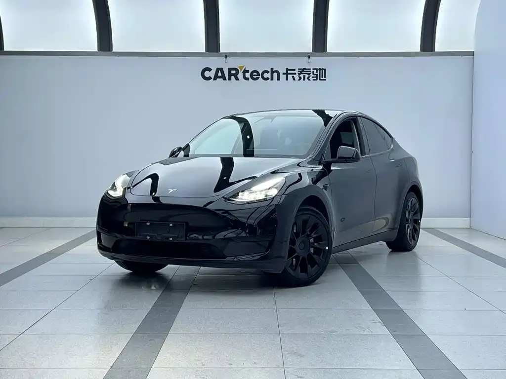 Tesla Model Y — фото 1
