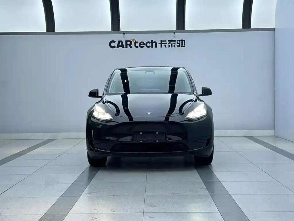 Tesla Model Y — фото 2